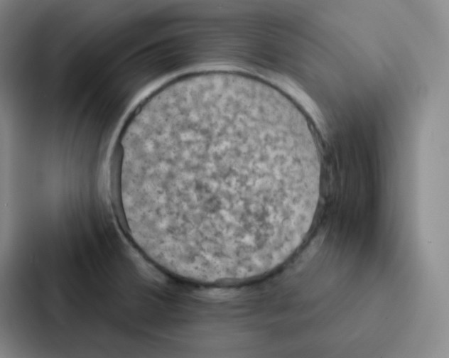 X0000086951380200705141813