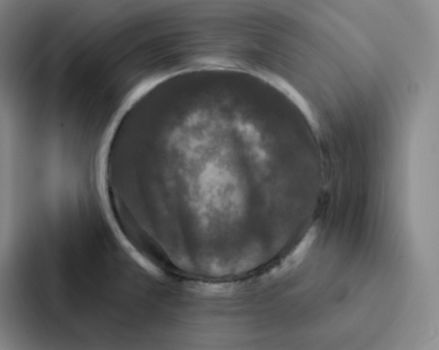 X0000086951381200705141813