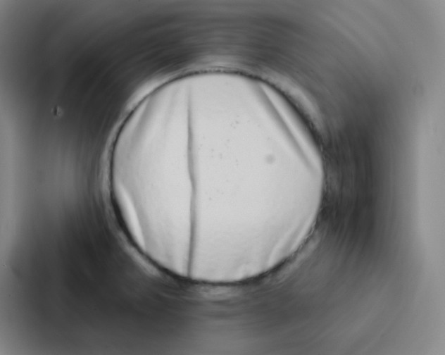 X0000086951382200705141813