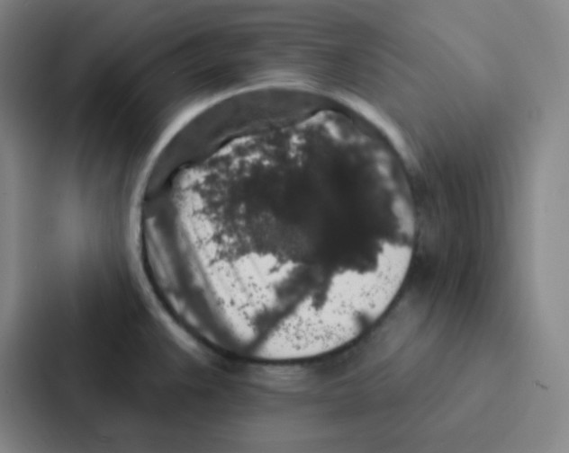 X0000086951383200705141813