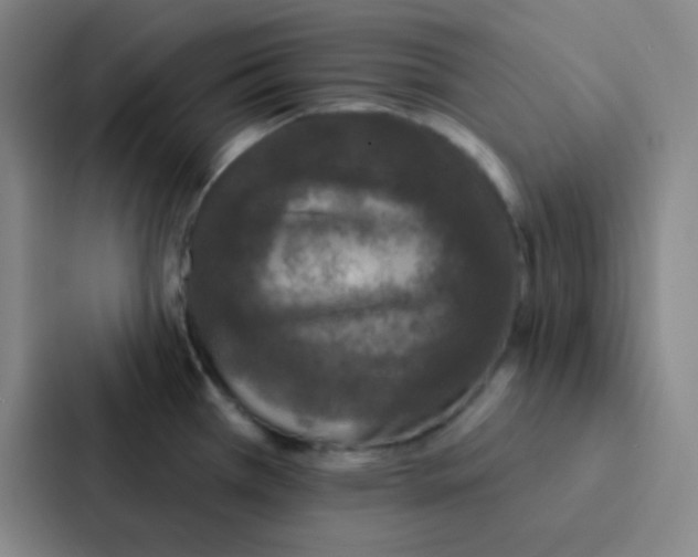 X0000086951385200705141813