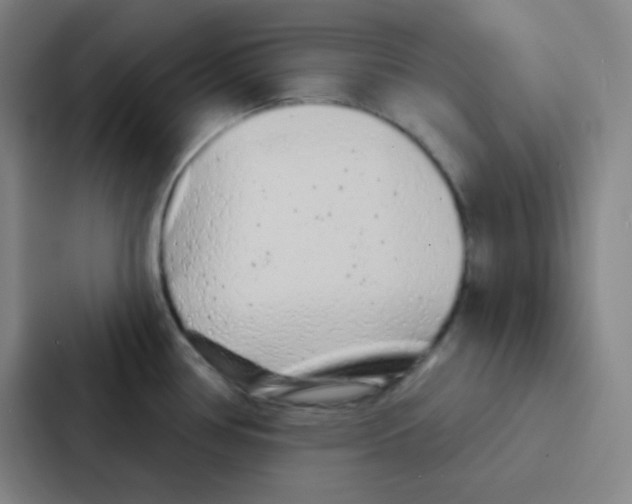 X0000086951386200705141813