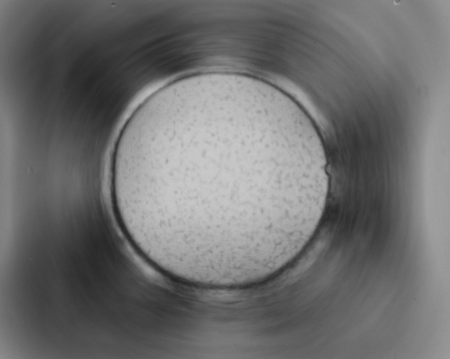 X0000086951387200705141813