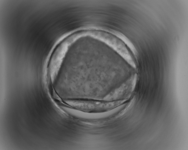 X0000086951388200705141813