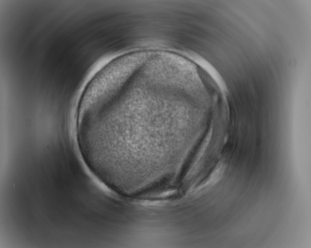 X0000086951389200705141813