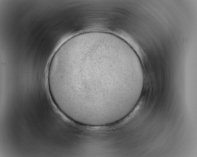 X0000086951390200705141813