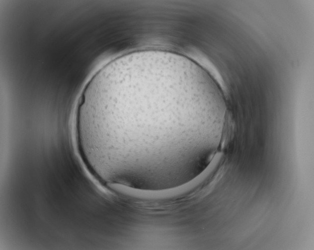 X0000086951391200705141813