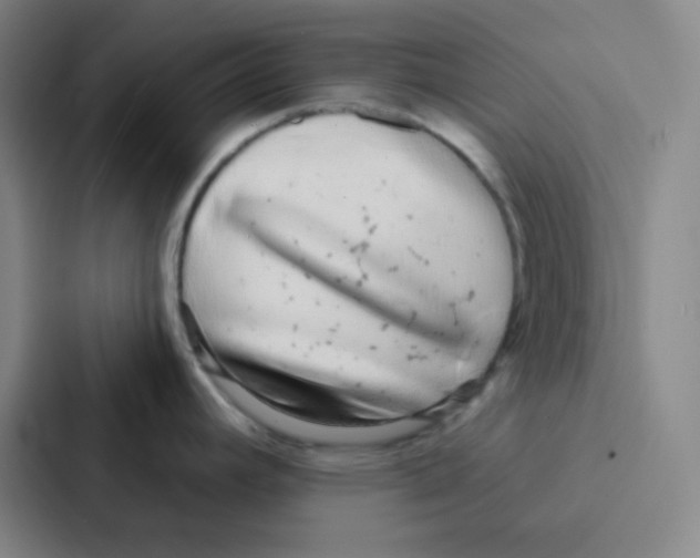 X0000086951392200705141813