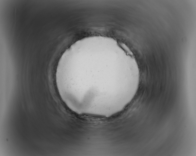 X0000086951393200705141813