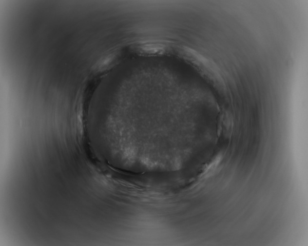 X0000086951394200705141813