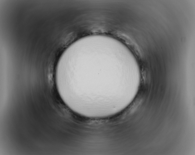 X0000086951396200705141813