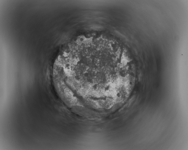 X0000086951397200705141813