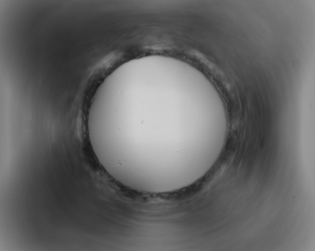 X0000086951398200705141813