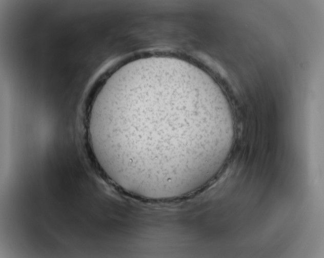 X0000086951400200705141813