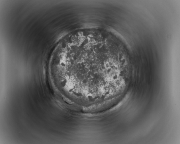 X0000086951401200705141813