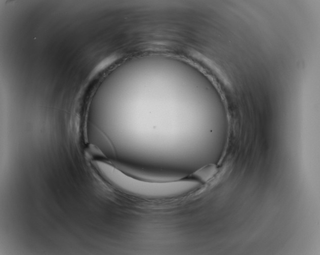 X0000086951402200705141813