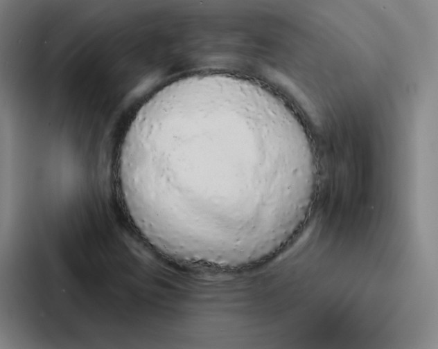 X0000086951403200705141813