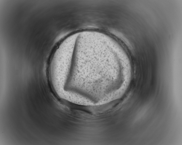 X0000086951404200705141813