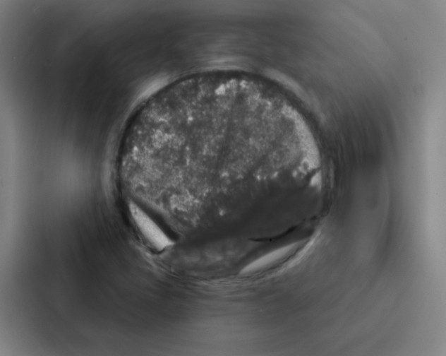 X0000086951405200705141813