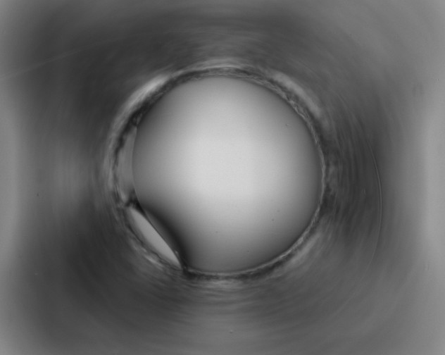 X0000086951406200705141813