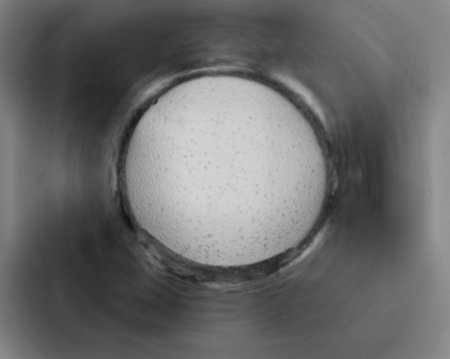 X0000086951407200705141813