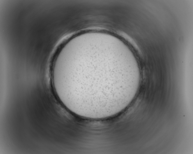 X0000086951408200705141813