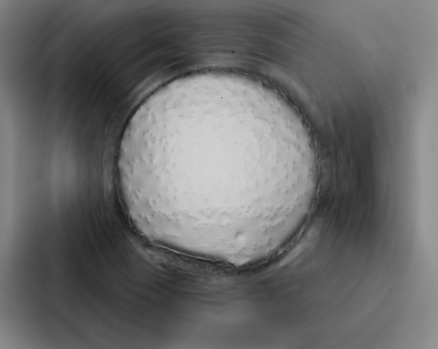 X0000086951409200705141813