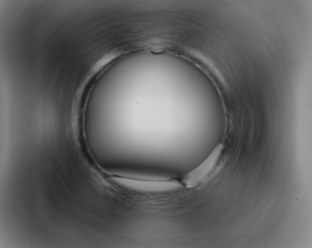 X0000086951410200705141813