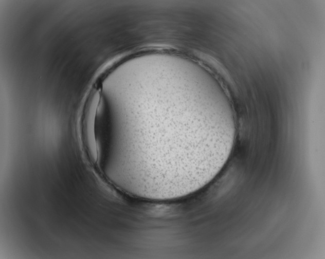 X0000086951412200705141813