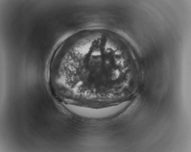 X0000086951413200705141813