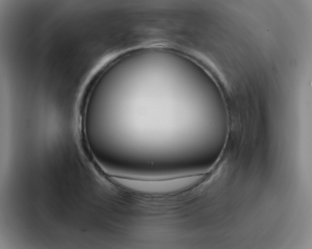 X0000086951414200705141813