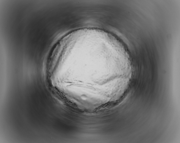 X0000086951415200705141813