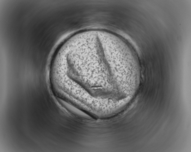 X0000086951416200705141813