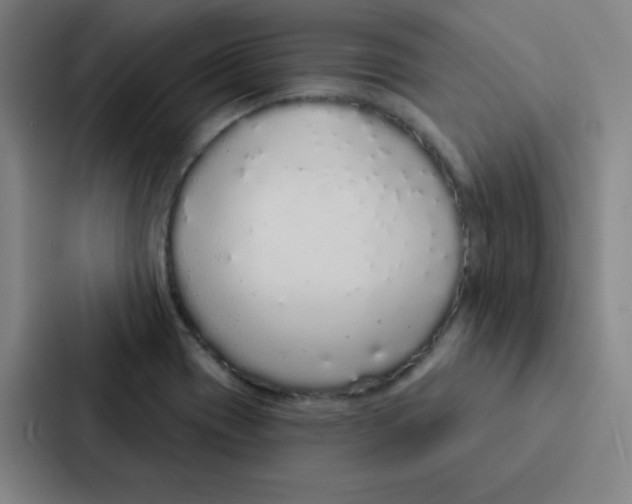 X0000086951417200705141813