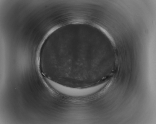 X0000086951418200705141813