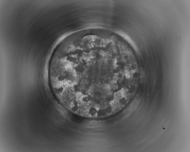 X0000086951419200705141813