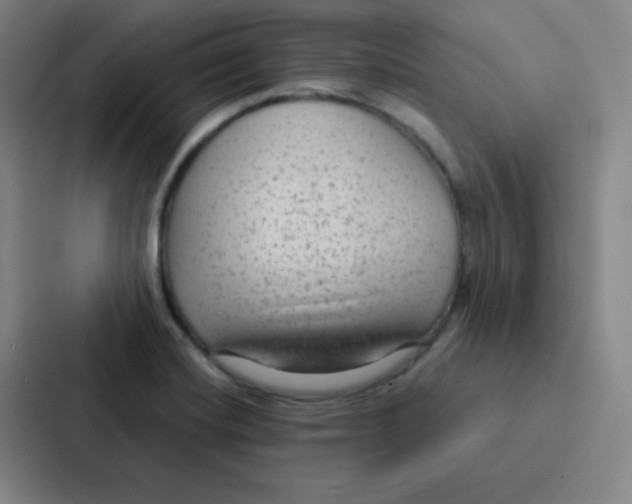 X0000086951420200705141813