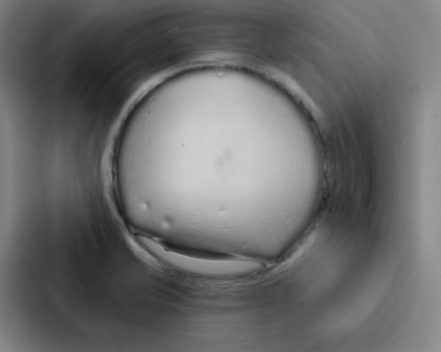 X0000086951421200705141813