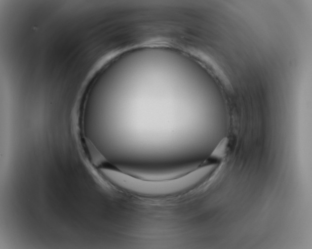 X0000086951422200705141813