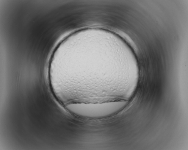 X0000086951424200705141813