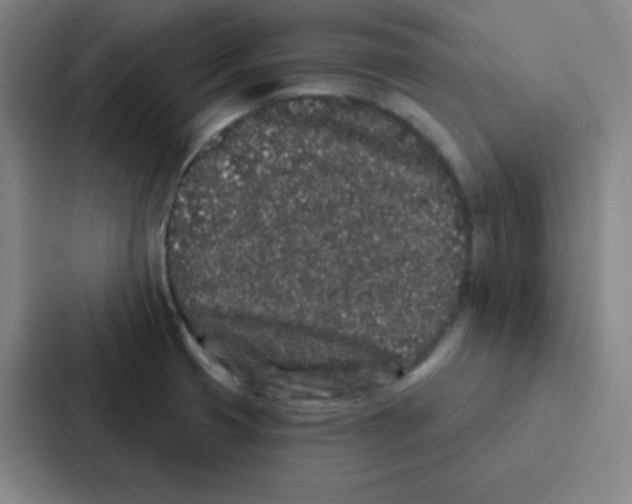 X0000086951425200705141813