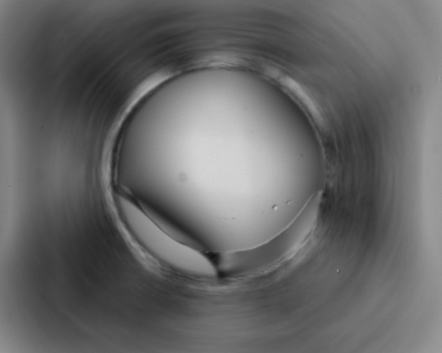 X0000086951426200705141813