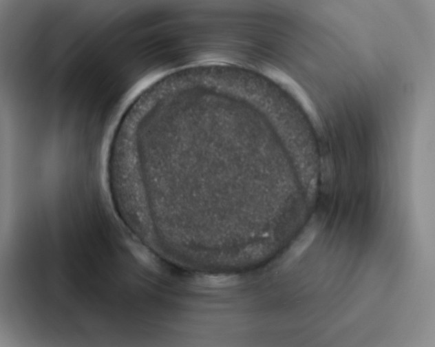 X0000086951427200705141813