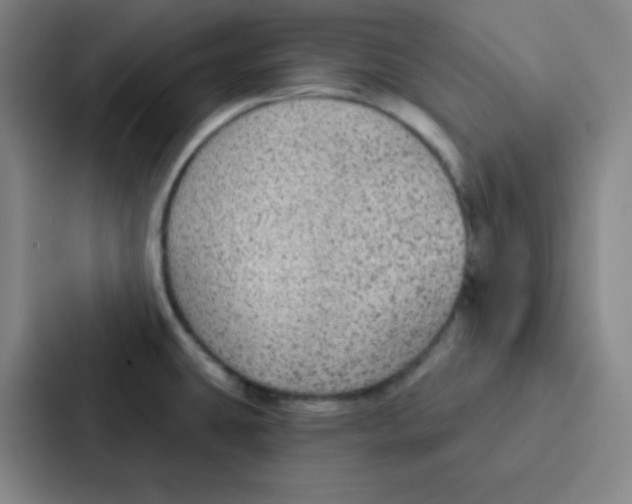 X0000086951431200705141813