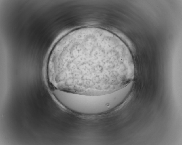 X0000086951432200705141813