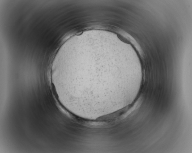 X0000086951433200705141813