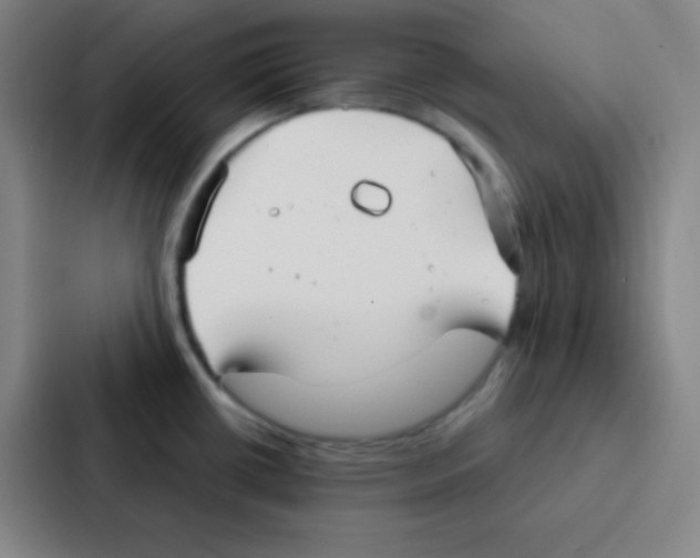 X0000086951434200705141813