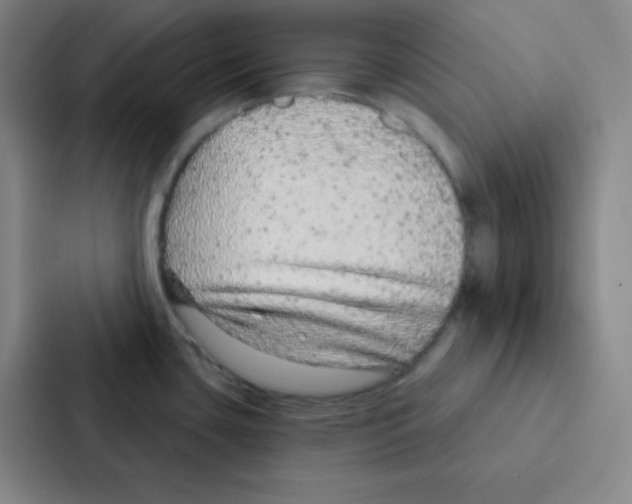 X0000086951435200705141813