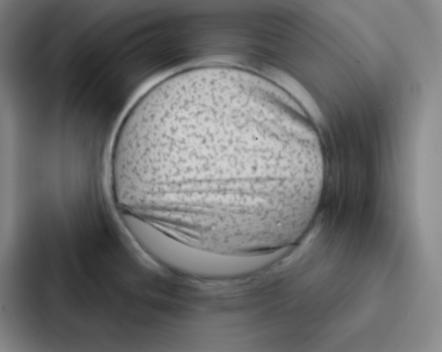 X0000086951436200705141813