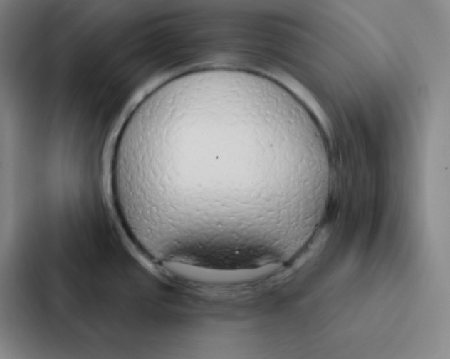 X0000086951437200705141813